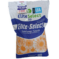 Насіння соняшнику ЕС Альфа, фр. преміум