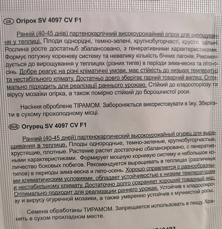 Огірок SV 4097 CV F1 10нас., фото 2