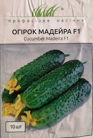 Огірок Мадейра F1 10шт, фото 1