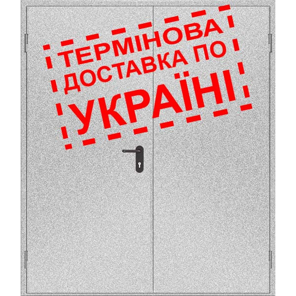 Двері протипожежні металеві глухі ДМП ЕІ60-2-2100x1400 лів., ЄвроСтандарт