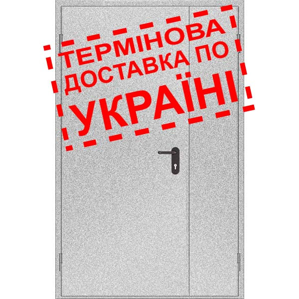 Двері протипожежні металеві глухі ДМП ЕІ60-2-2100x1300 лів., ЄвроСтандарт