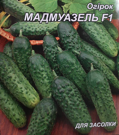 Огірок Мадмуазель F1 3г, фото 1