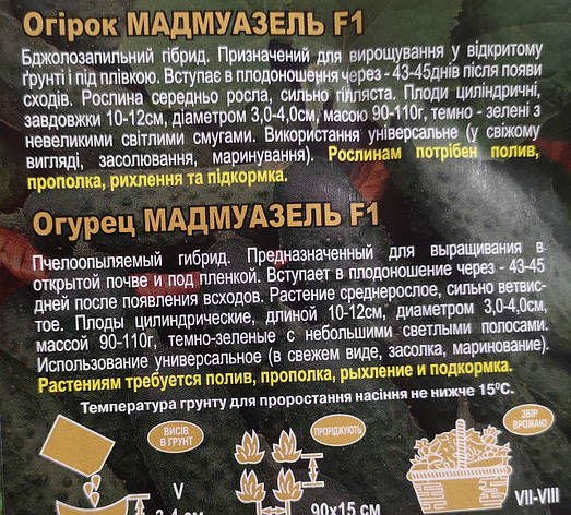 Огірок Мадмуазель F1 3г, фото 3