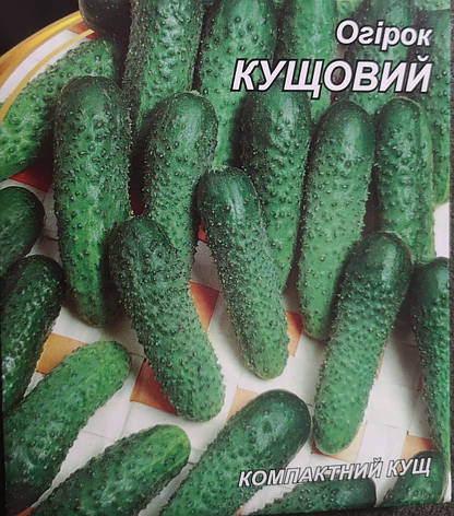 Огірок Кущовий 5г, фото 1