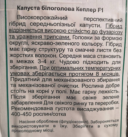 Капуста Краплер F1 20нас, фото 3