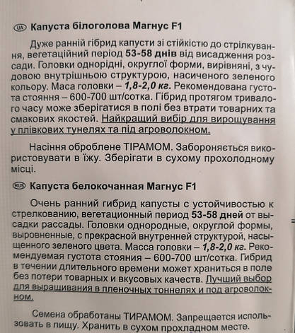 Капуста Магнус F1 20нас, фото 3