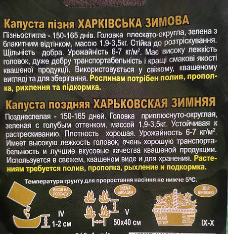 Капуста ХАРКІВ'ЯКА ЗИМОВА 5 г., фото 3