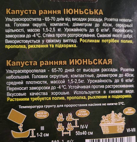 Капуста ІЮНСЬКА 5г., фото 3