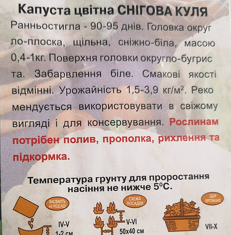 Капуста цвітна СНІГОВА КУЛЯ 0,5г., фото 3