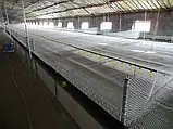 Підлогова сітка для курчат, фото 3