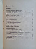 Орлик О.В. «Гроза дванадцятирічного року...». (б/у)., фото 6