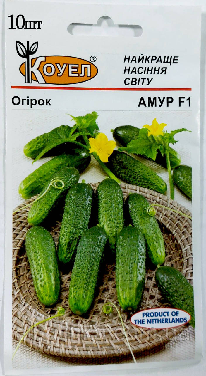 Огірок Амур F1 Коуел 10 шт., фото 1