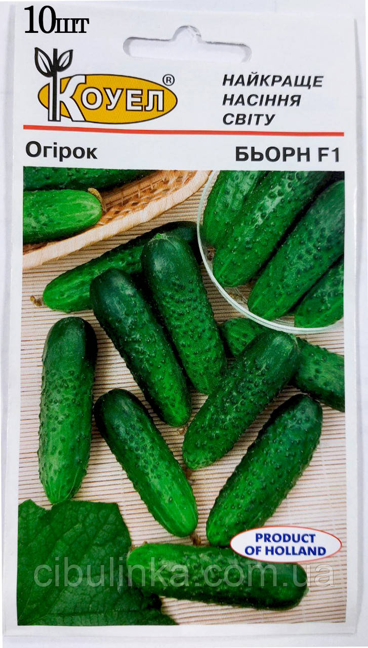 Огірок Бьорн F1 Коуел 10 шт, фото 1