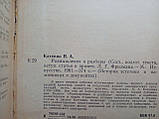 Катенін П.А. Роздуми та розбирання. (б/у)., фото 8