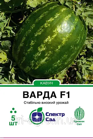 Кавун Варда F1 5нас СпектрСад, фото 1