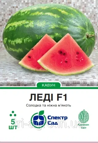Кавун Леді F1, 5нас. СадибаСад