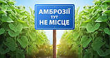Гербіцид Геліантекс 90 мл на 2 гектара Розлив, фото 2