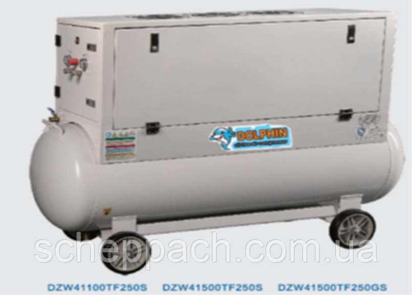 Компресор безмасляний Dolphin DZW41100TF250S, фото 1