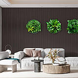 Рейка декоративна WPC стінова 3000х160х23мм Венге SW-00001537, фото 7