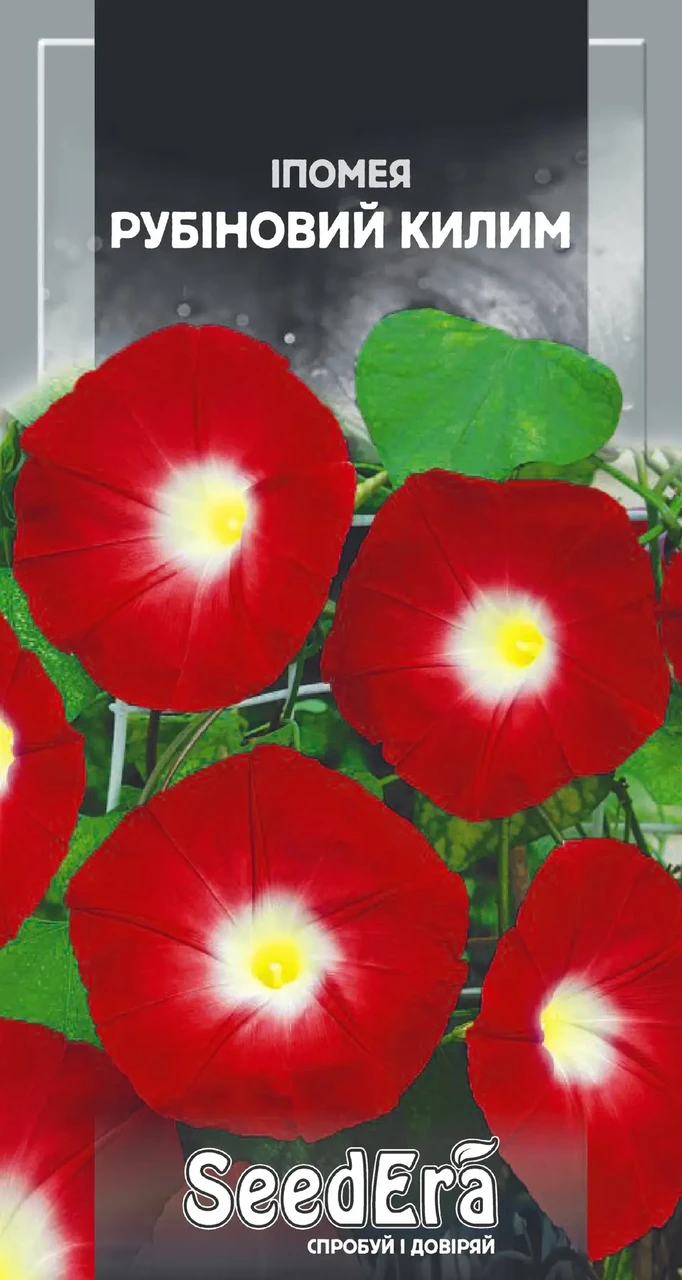 Насіння квітів Іпомея Рубіновий килим  0,5 г,