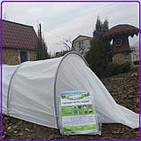 Парник 6 м "Гигант" Агро-лідер, арочний, з білого агроволокна, для огорода, розсади, дачі, теплиця 60г/м2, фото 7