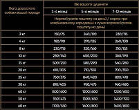 Вологий корм для цуценят Savory з куркою, 100 г, фото 5