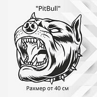 Наклейка на авто — Пітбуль v2