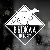 Наклейка собаки на авто — Випалила
