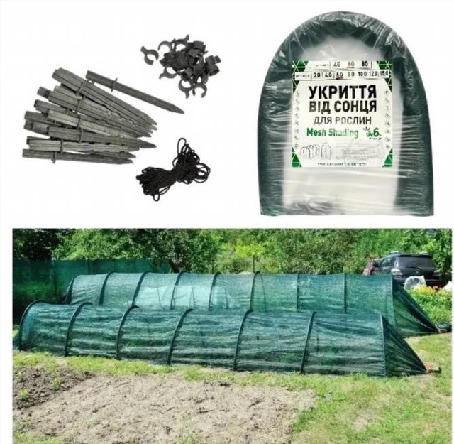сеткa