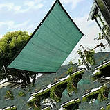 Затінювальна сітка 3 м*5м 45% з люверсами для рослин, навісів і альтанок — сонцезахисна фасадна сітка, фото 8