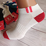 Шкарпетки жіночі SPORT бавовна різнокольорові сітка 37-39р | 12 пар, фото 2