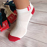 Шкарпетки жіночі SPORT бавовна різнокольорові сітка 37-39р | 12 пар, фото 3