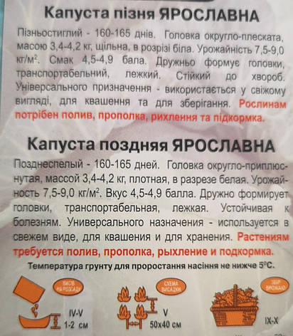 Капуста ЯРОСЛАВНА 1 г., фото 3