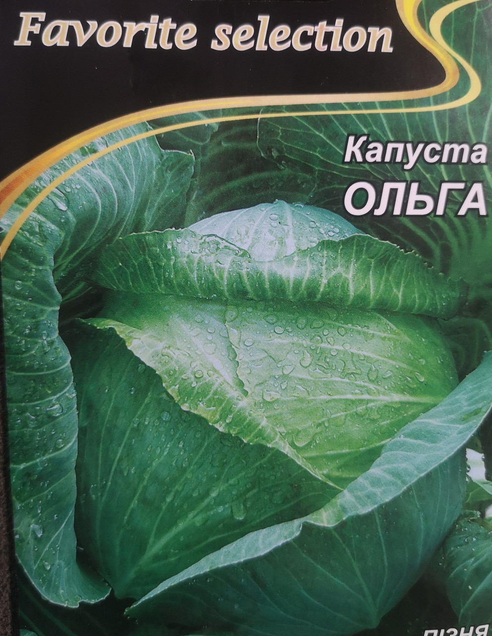 Капуста пізня Ольга 5г