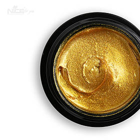Гель-паста для дизайну Nice for you Gel paste 2D Gold Золото 5 г