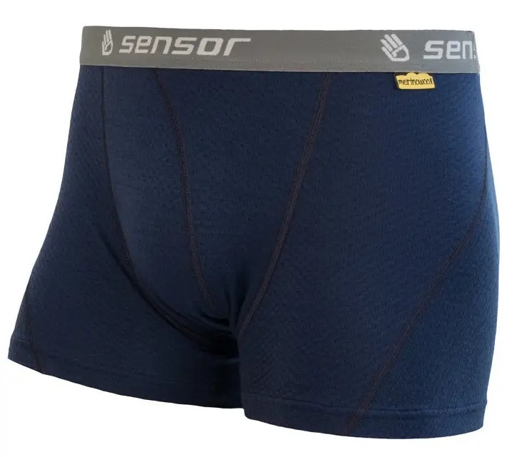 Чоловічі термотруси SENSOR MERINO DF розмір L сині SH