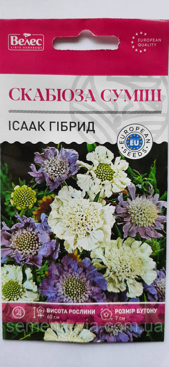 Скабіоза суміш Ісаак гібрид /0,3г/ (в упаковці 10 пакетів)