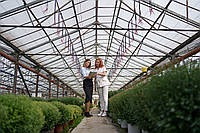 Готові теплиці: оптимальне рішення для вашого врожаю