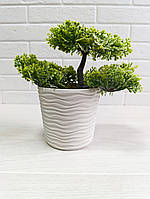 Горщик для квітів зі вставкою низький "Ф'южн" 1,6л d16*14,5см (біла троянда)