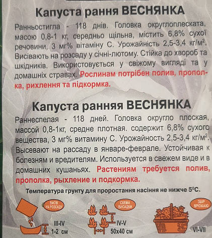 Капуста рання Веснянка 1г, фото 3