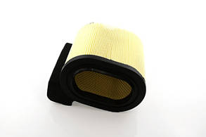 Фільтр повітряний Ford F-Series 6.7Turbo Diesel (17-19) USA