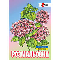 Раскраска А4 SANTI антистресс Флористика 12 стр