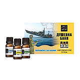 Набір ефірних олій для сауни та лазні "Душевна лазня", фото 2