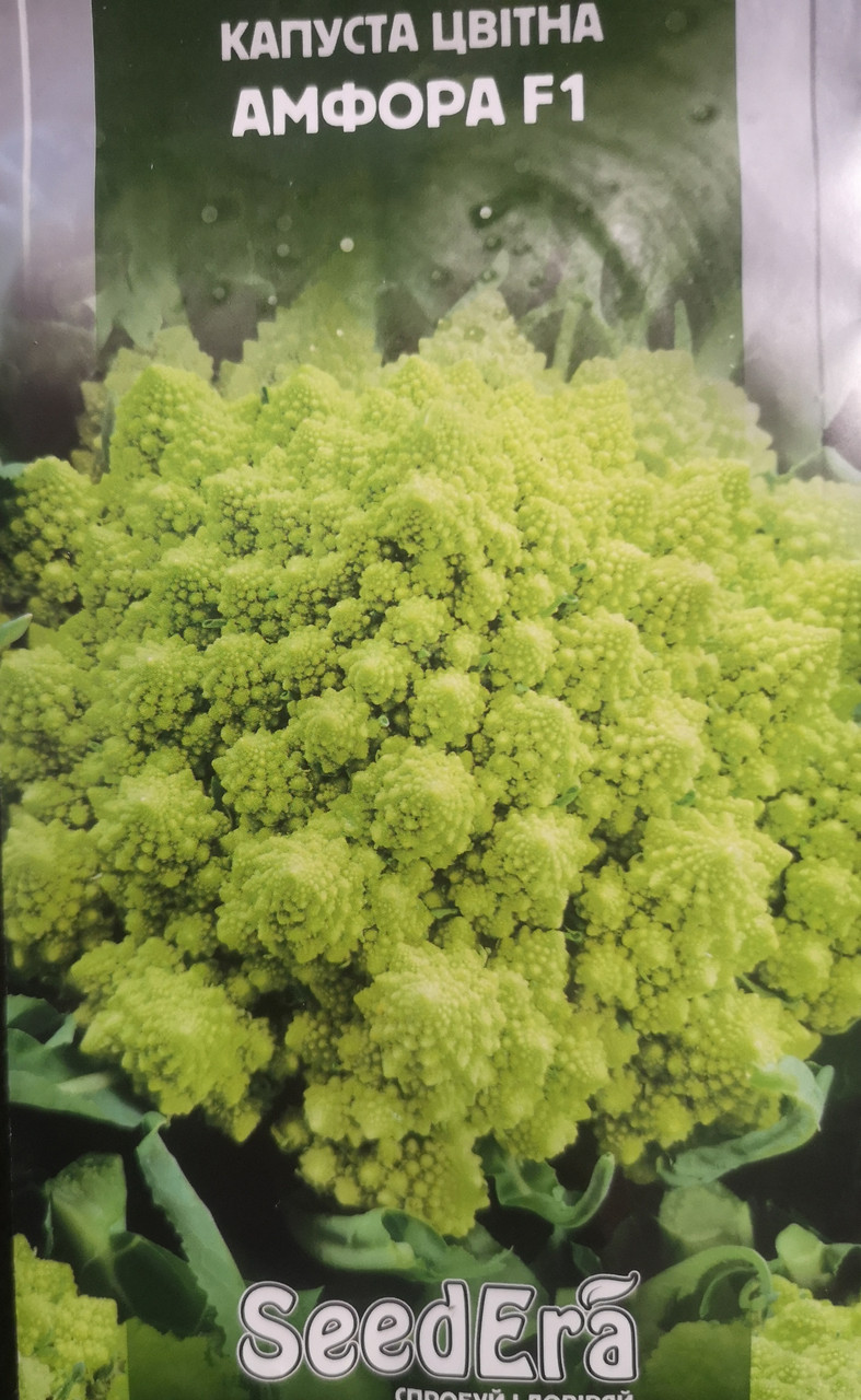 Капуста цвітна Амфора F1 30шт