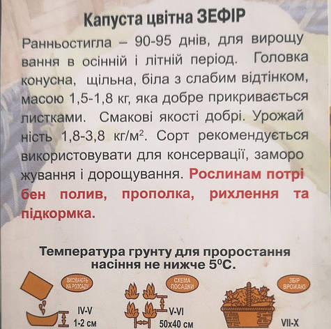 Капуста цвітна Зефір 0.5г, фото 3