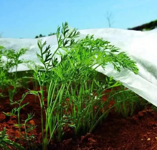 агроволокно спанбонд