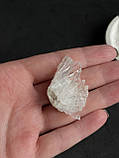 Гірський кришталь натуральний необроблений камінь кристал гірського кришталю 40*24*15 мм., фото 6