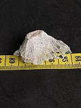 Гірський кришталь натуральний необроблений камінь кристал гірського кришталю 40*24*15 мм., фото 4