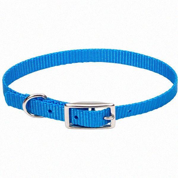 Нашийник для собак, 1х25см Coastal Nylon Web КОСТАЛ НАЙЛОН ВЕБ