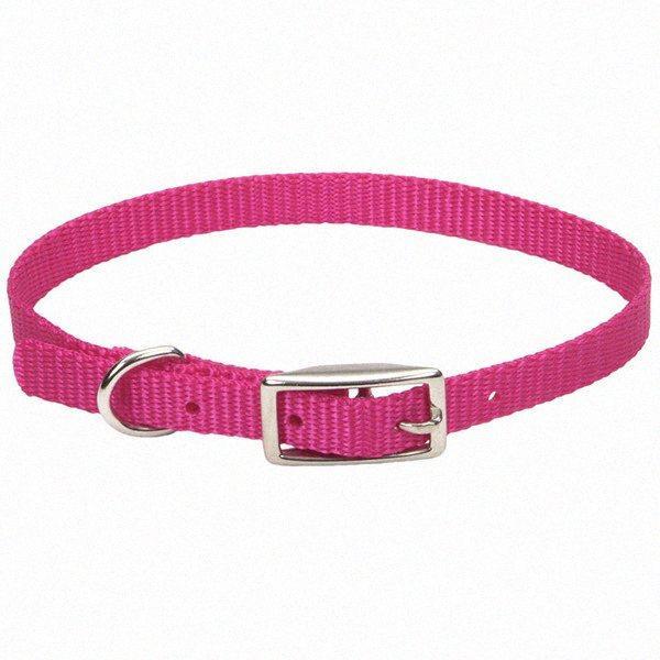 Нашийник для собак, 1х25см Coastal Nylon Web КОСТАЛ НАЙЛОН ВЕБ